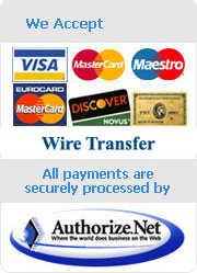 Buy Custom Essay - Payment Methods