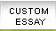 Custom Essay