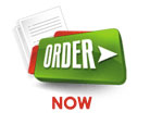 Buy Custom Essay